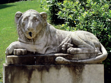 Выразительный фонтан - лев